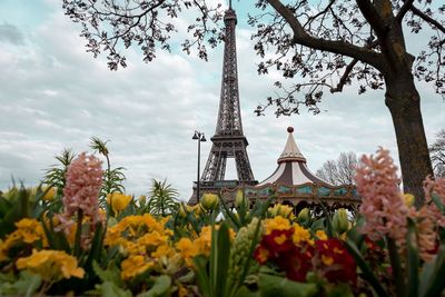 View of flowering plants against cloudy sky