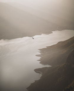 Bird flying over mountains against sky