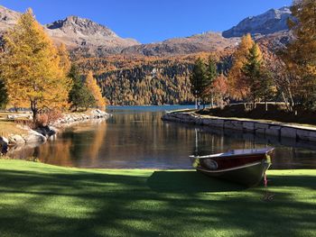 Scenic view of lake by trees during autumn