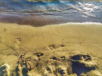 Scenic view of beach