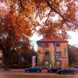 Cars parked by trees against clear sky during autumn