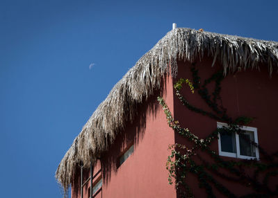 Moon rising over a thatched roof in baja sur california mexico