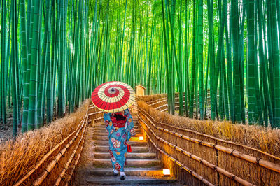 Rear view of mid adult woman with umbrella walking on steps amidst bamboo trees in forest