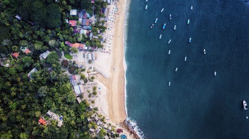 High angle view of trees by sea