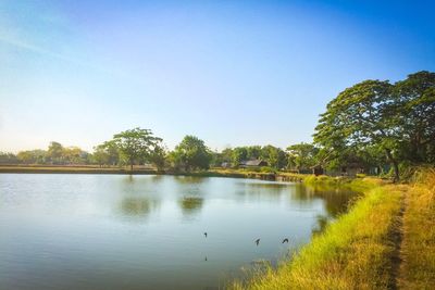 Scenic view of lake against clear sky