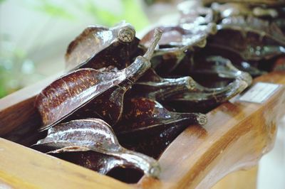 Close-up of shell on table