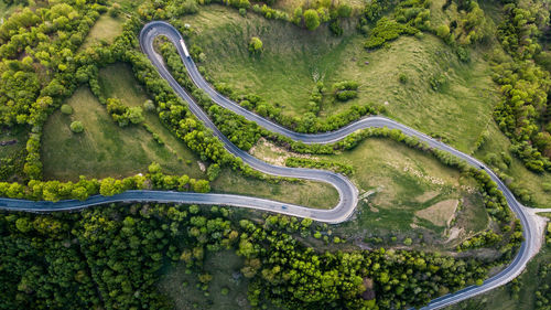 Aerial view of road amidst forest