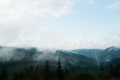 Scenic view of trees and mountains against sky