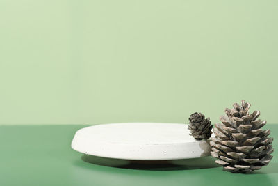 Cement pedestal concrete podium with pine cones. display showcase for natural self care product
