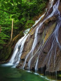 View of waterfall in forest