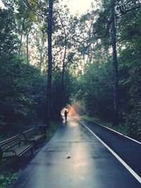 Man walking on road amidst trees in forest