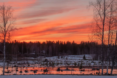 Bare trees on snow covered land against sky during sunset