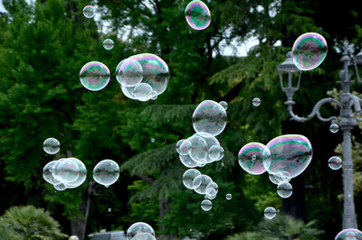 Close-up of bubbles