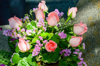 High angle view of pink roses