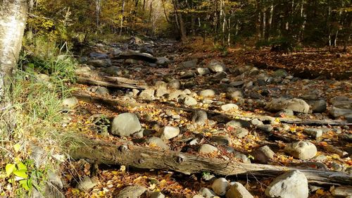 Full frame shot of water