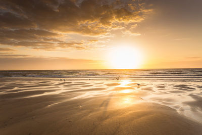 Scenic view of beach during sunset