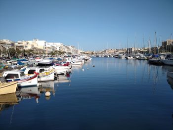 Sailboats moored in harbor