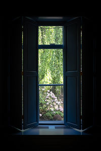 Trees seen through window of house