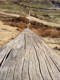 Close-up of wooden plank