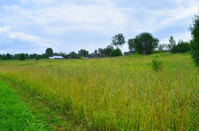 Scenic view of field against sky