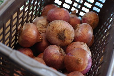 High angle view of fruits in basket