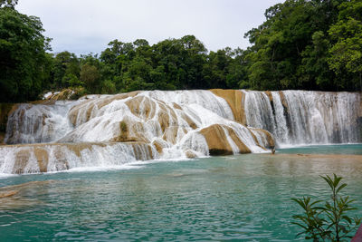 Scenic view of agua azul waterfalls