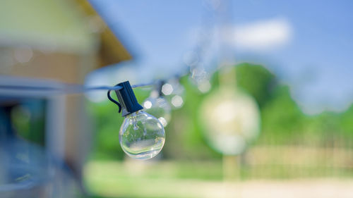 Close-up of light bulb hanging on field