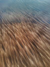 High angle view of sea wave