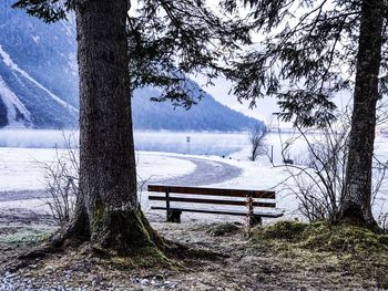 Empty bench by tree by lake