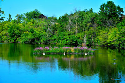 Scenic view of lake