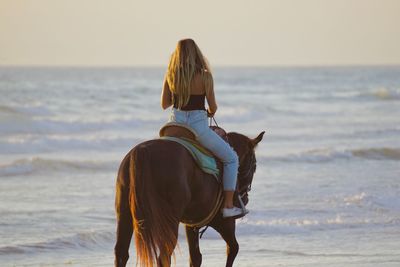 Rear view of person riding horse on beach