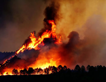Climate control - a wildfire, the destruction of forests and its impact on wildlife and air quality