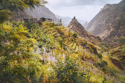 Scenic view of trees and mountains against sky