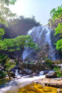 Scenic view of waterfall in forest