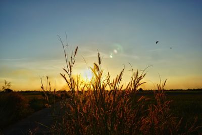 Silhouette landscape against sky during sunset