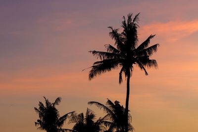 Low angle view of silhouette palm tree against orange sky