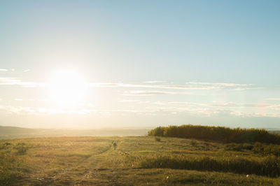 Scenic view of grassy field against sky