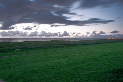 Scenic view of field against sky