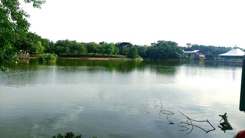 Reflection of trees in calm lake