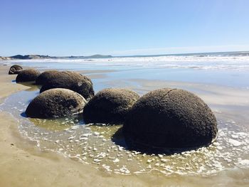 Scenic view of sea against clear sky