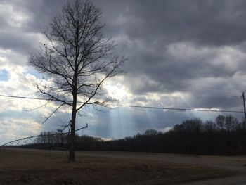 Bare trees on landscape against cloudy sky