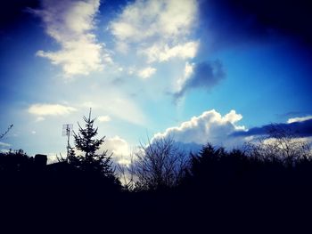 Low angle view of silhouette trees against sky