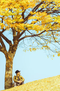 Full length of tree against sky during autumn