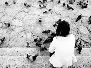 Bird perching on railing