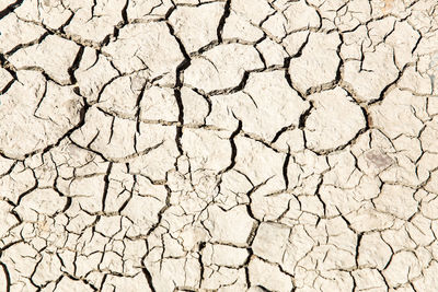 Drought in düsseldorf, germany