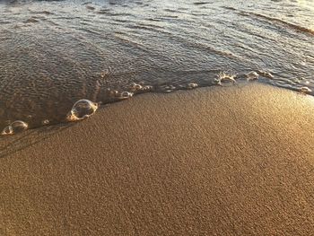 High angle view of sand on beach