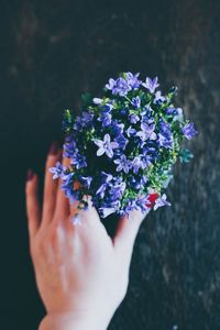 Close-up of hand holding flowers