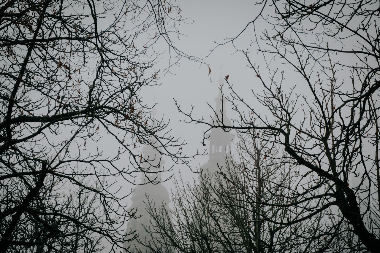 LOW ANGLE VIEW OF SILHOUETTE TREE AGAINST SKY