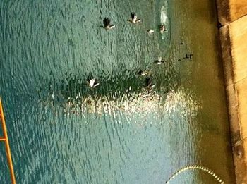 water