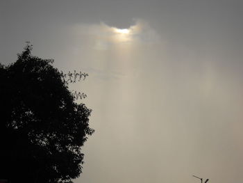 Low angle view of silhouette tree against sky